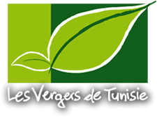 LES VERGERS DE TUNISIE